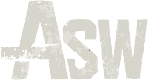 Aalborg Street Workout